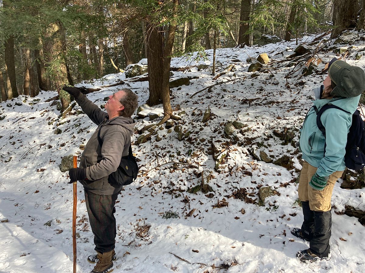 HWA Field Training at Buck Mountain