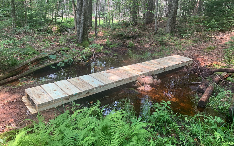 Volunteers are needed for bridge building, invasives management, and events.
