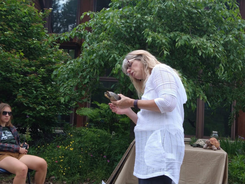 Rehabilitator Debbie Philp holding a turtle during a presentation.