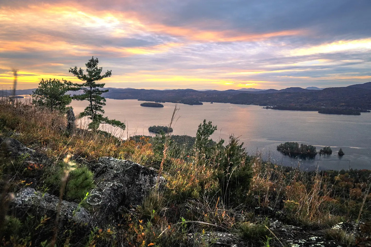 Pinks and yellows highlight the blue sky during a sunset on Lake George. Tall plants cover rocks in the foreground.