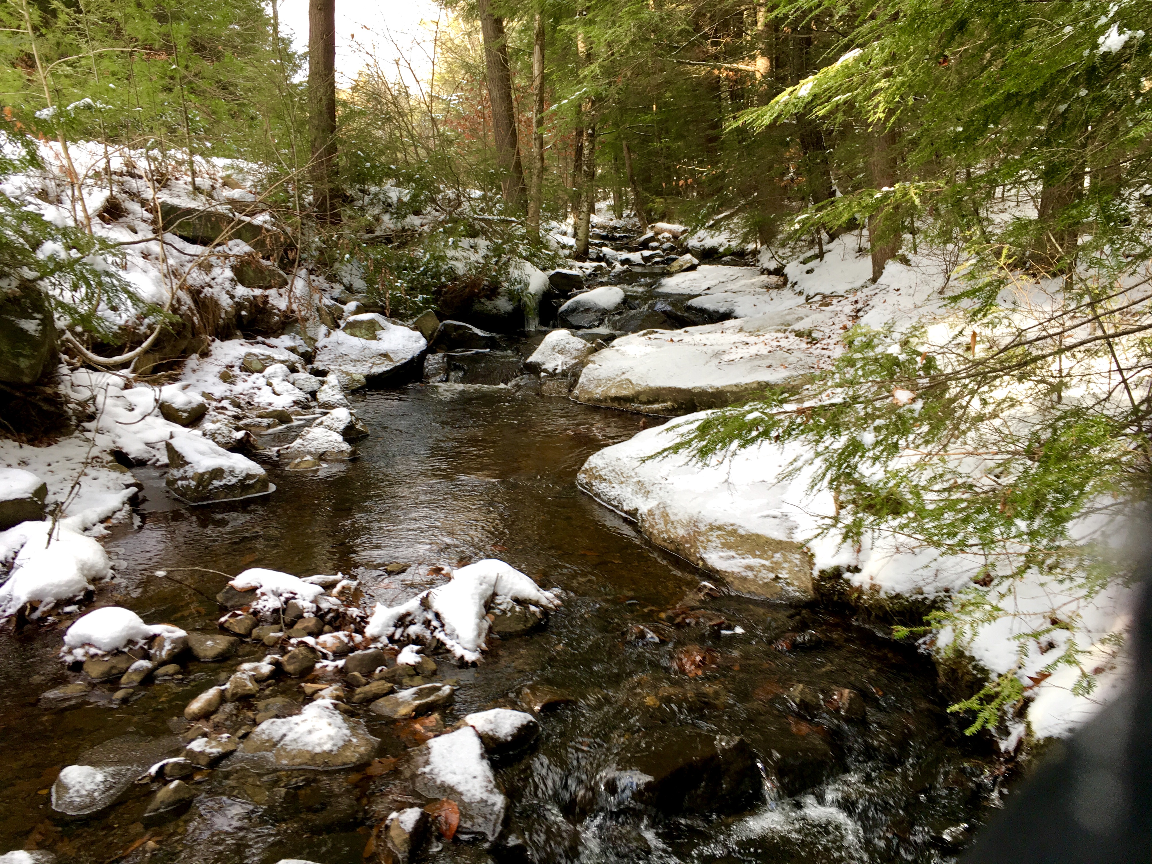 Winter stream at Amy's Park