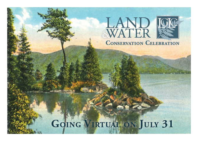 LGLC's annual Celebration will be held virtually this year.