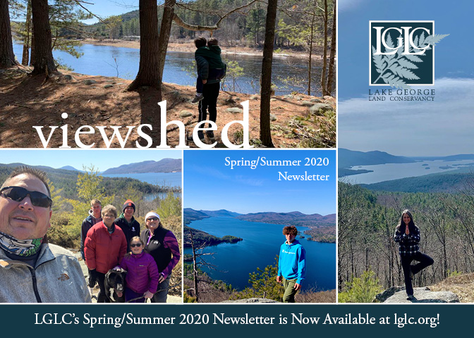 LGLC spring/summer digital newsletter now available